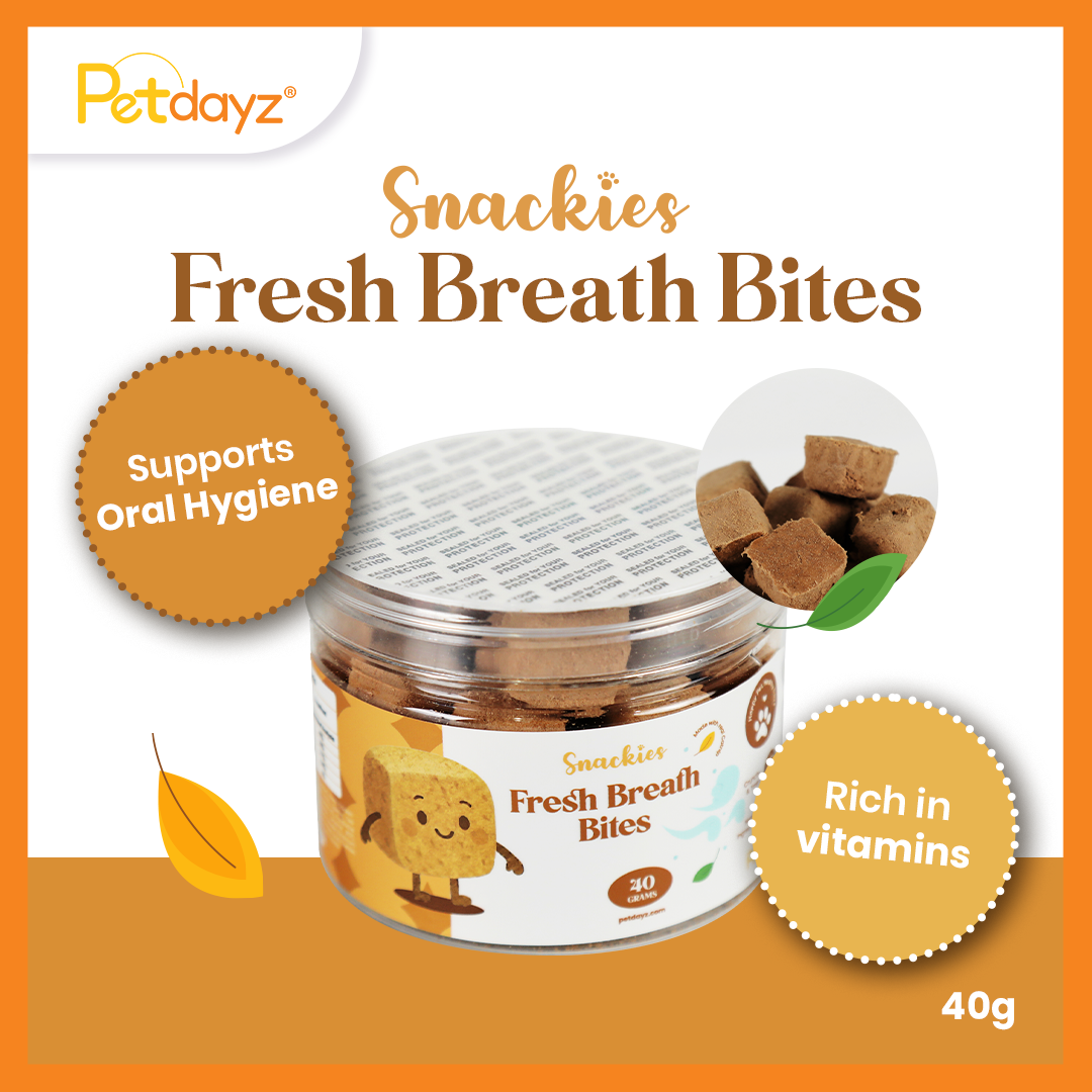 Fresh Breath Bites