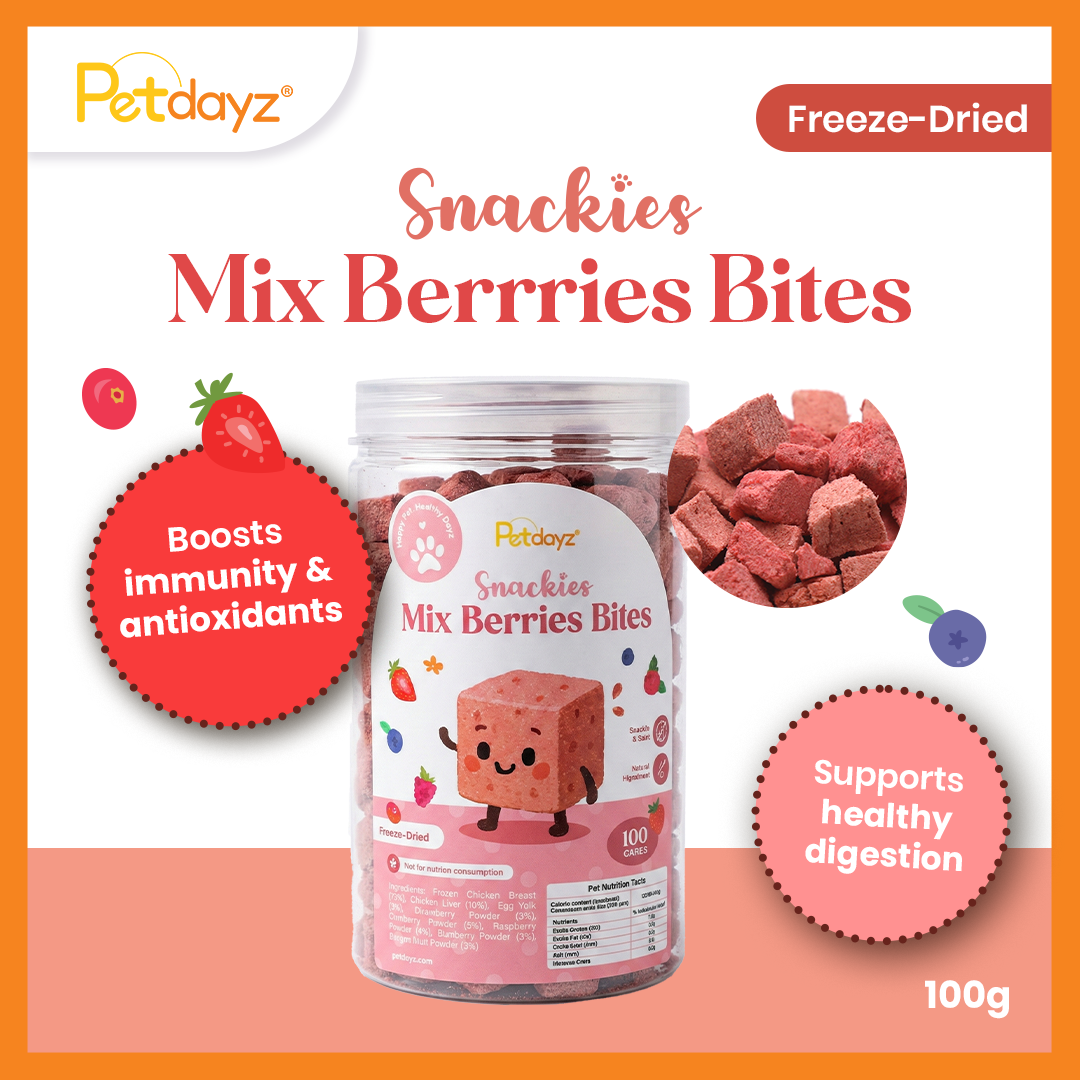 Mix Berries Bites